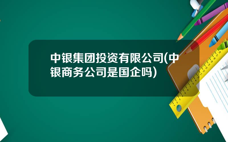中银集团投资有限公司(中银商务公司是国企吗)