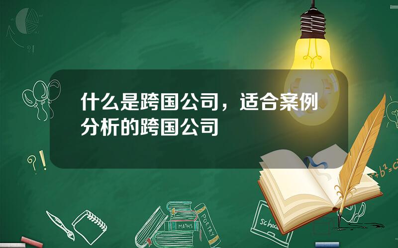 什么是跨国公司，适合案例分析的跨国公司