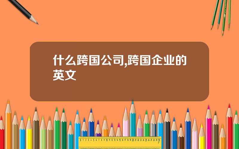 什么跨国公司,跨国企业的英文