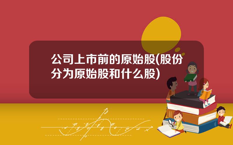 公司上市前的原始股(股份分为原始股和什么股)