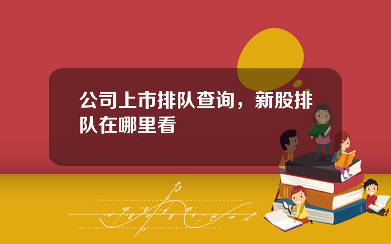 公司上市排队查询，新股排队在哪里看