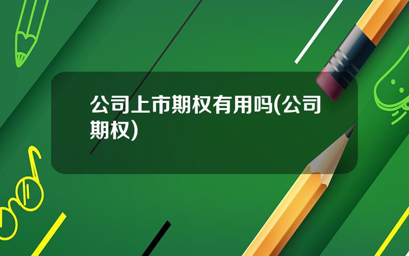 公司上市期权有用吗(公司期权)