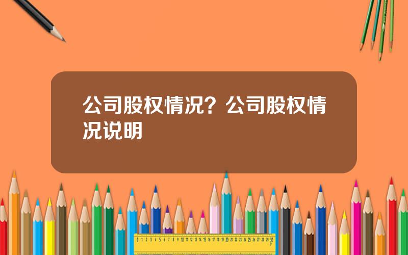 公司股权情况？公司股权情况说明