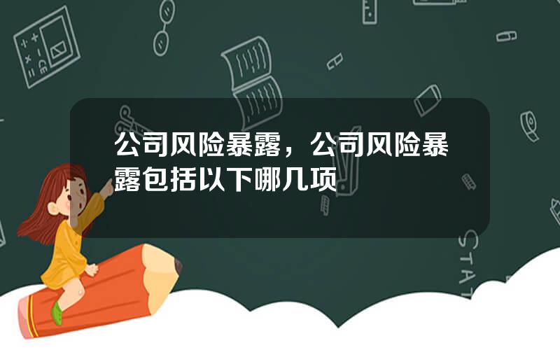 公司风险暴露，公司风险暴露包括以下哪几项