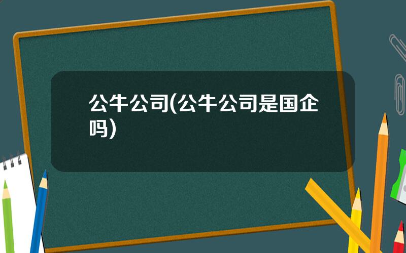 公牛公司(公牛公司是国企吗)
