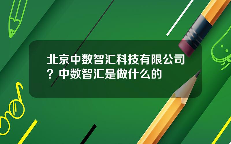 北京中数智汇科技有限公司？中数智汇是做什么的
