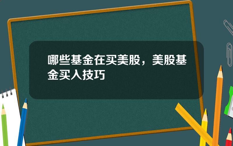 哪些基金在买美股，美股基金买入技巧