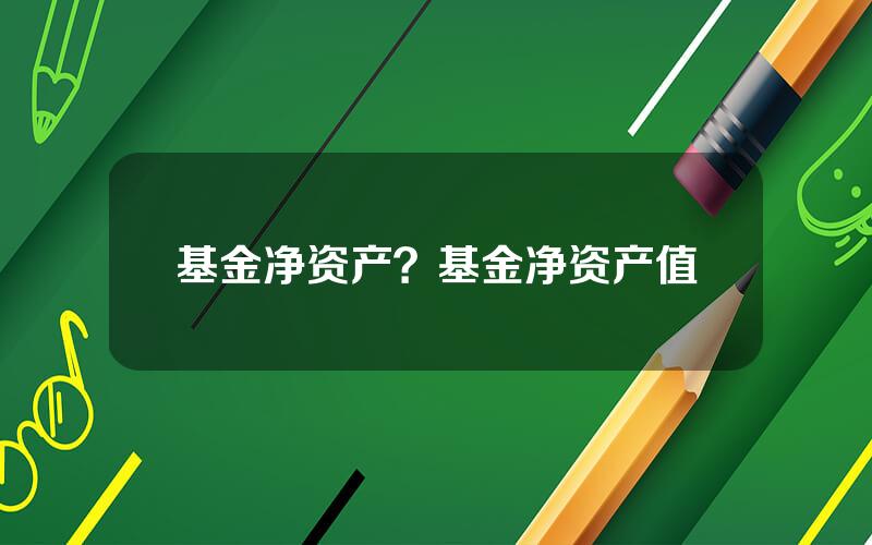 基金净资产？基金净资产值