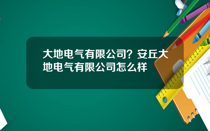 大地电气有限公司？安丘大地电气有限公司怎么样