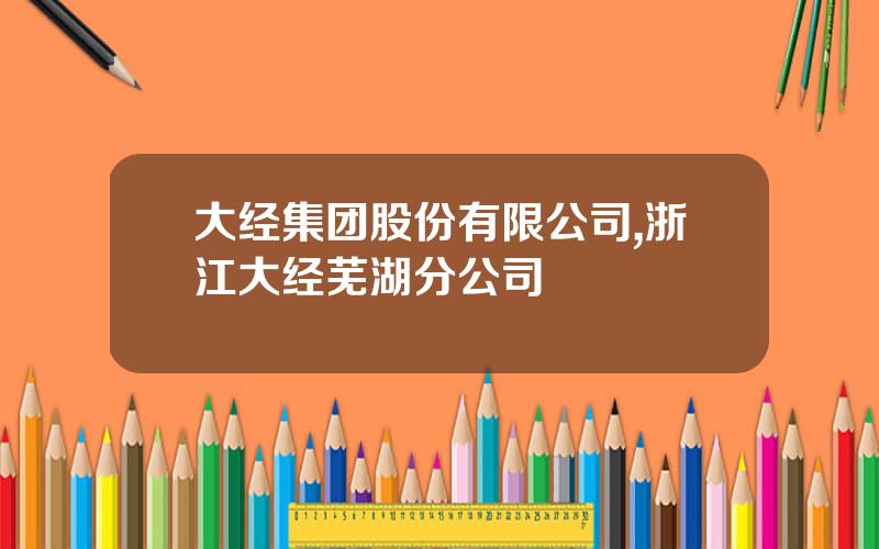大经集团股份有限公司,浙江大经芜湖分公司