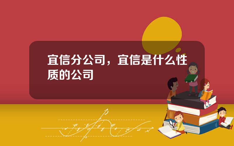 宜信分公司，宜信是什么性质的公司