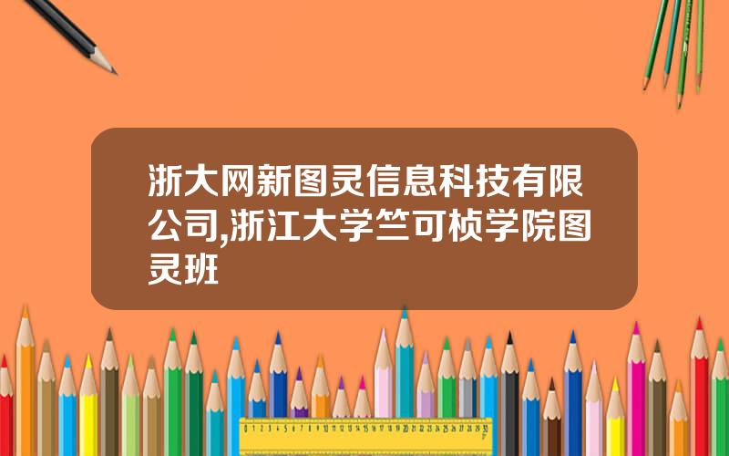 浙大网新图灵信息科技有限公司,浙江大学竺可桢学院图灵班