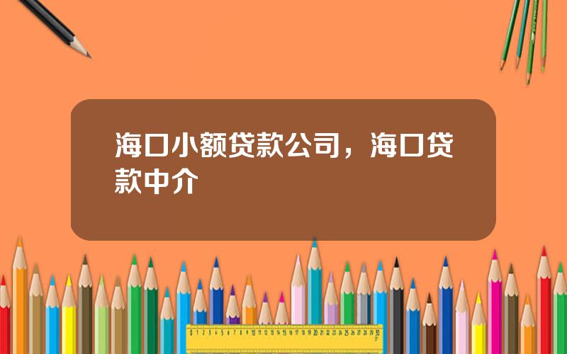 海口小额贷款公司，海口贷款中介